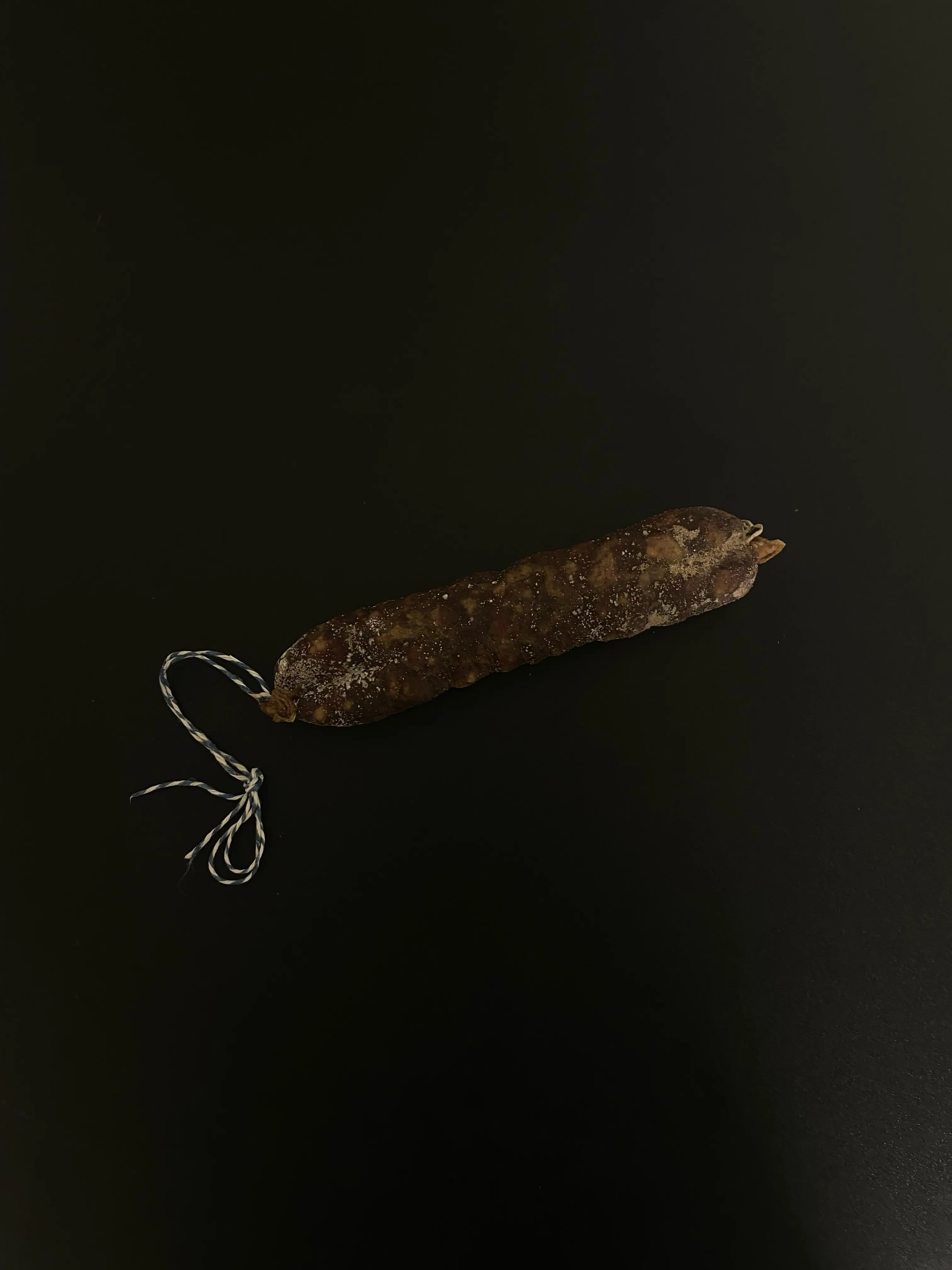 Saucisson de canard