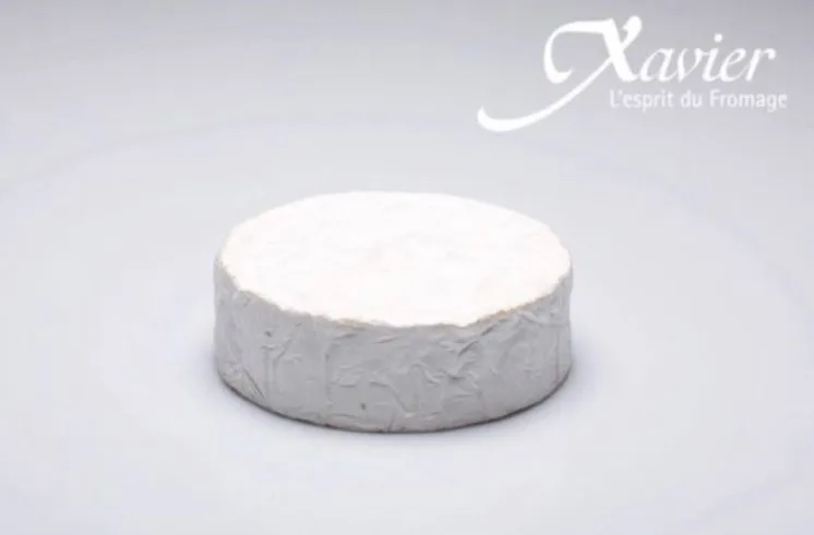 Camembert
