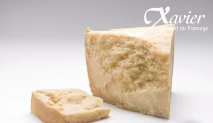 Parmesan