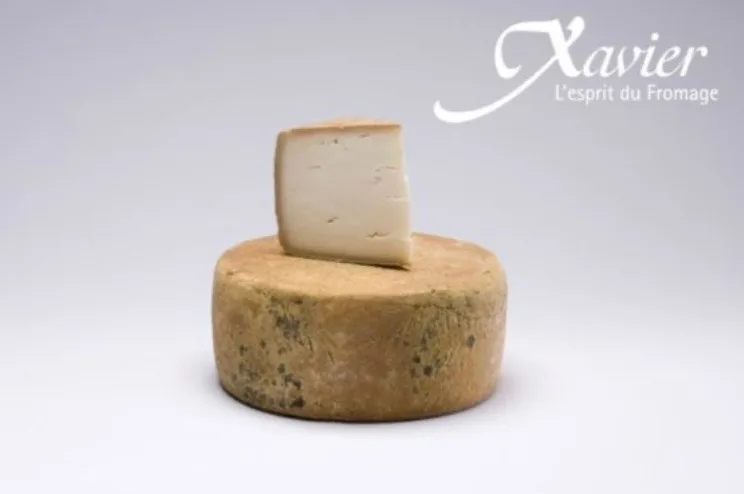 Castillonnais Chèvre-Brebis